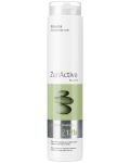 Erayba Zen Active Șampon de curățare pentru păr gras Z12b, 250 ml - 1t