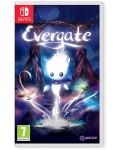 Evergate (Nintendo Switch)	 - 1t