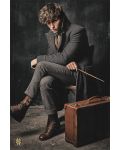 Poster maxi Pyramid - Fantastic Beasts: The Crimes Of Grindelwald - Newt Scamander - 1t