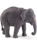 Figurina Mojo Wildlife - Elefantul asiatic - 1t
