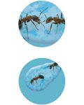 Set de cercetare Buki Nature - Lumea mini a furnicilor - 4t