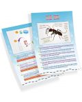 Set de cercetare Buki Nature - Lumea mini a furnicilor - 5t