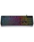 Tastatura gaming Genesis - Rhod 300, RGB, neagra - 1t