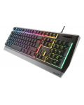 Tastatura gaming Genesis - Rhod 300, RGB, neagra - 3t