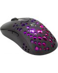 Mouse gaming  White Shark - TRISTAN, optic , negru  - 3t