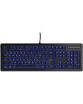 Tastatura gaming SteelSeries - Apex 100, LED, neagra - 1t