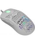 Mouse gaming  White Shark - GALAHAD, optic , albă  - 2t