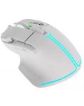 Mouse gaming Canyon - Fortnax, optic, alb - 2t