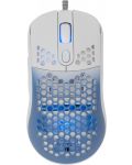 Set mouse și pad pentru gaming  White Shark - MEGALODON, син/alb  - 2t