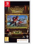 Harry Potter: Quidditch Champions - Deluxe Edition - Cod în cutie (Nintendo Switch)  - 1t