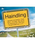 Haindling - Lang scho nimmer g'sehn (3 CD) - 1t