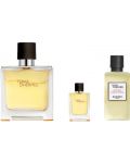 Hermes Terre D’Hermès Set - Apă de parfum, 75 și 5 ml + Gel de duș, 40 ml - 2t