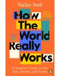 How the World Really Works: A Scientist's Guide to Our Past, Present and Future - 1t