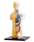 Set pentru copii Kosmos - Anatomia corpului uman - 3t