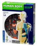 Set pentru copii Kosmos - Anatomia corpului uman - 1t