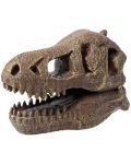 Trusa de cercetare Muzeul Buki - Craniu, T-Rex - 3t