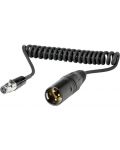 Cablu Shure - WA451, TA3F/XLR, 0,3 m, negru - 1t