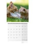 Calendar Ackermann - Pisici, 2024 - 3t