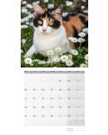 Calendar Ackermann - Pisici, 2024 - 4t