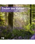 Calendar Ackermann - Mystic Forest, 2024 - 1t