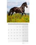 Calendar Ackermann - Cai, 2024 - 3t