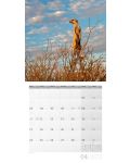 Calendar  Ackermann - Meerkats, 2023 - 5t