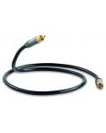 Cablu pentru subwoofer QED - Performance Subwoofer, 2x RCA, 3 m, negru - 1t
