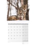 Calendar Ackermann - Animale sălbatice din Germania, 2024 - 2t