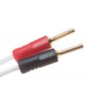 Cablu pentru boxe QED - XT25, 2 m, 2 buc, alb - 2t