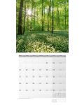 Calendar Ackermann - Mystic Forest, 2024 - 4t