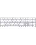 Apple Keyboard - Magic Keyboard, cu cifre, US, argintiu - 1t