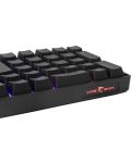 Tastatură White Shark - GLADIUS, US, negru  - 4t