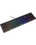 Tastatură White Shark - GLADIUS, US, negru  - 2t