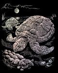 Set de gravură holografică Royal - Țestoase, 20 x 25 cm - 1t