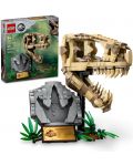 Constructor LEGO Jurassic World - Craniu de tiranozaur rex (76964) - 8t