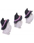 Set de statuete Nemesis Now Adult: Humor - Three Wise Feathered Familiars, 9 cm - 4t