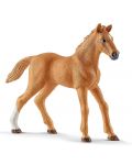 Set figurine Schleich Farm World Horses - Calutii lui Hana si cainele Ruby - 5t
