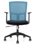 Set scaune de birou RFG - Siena, 2 buc., spatar albastru - 1t