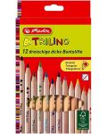 Un set de creioane triunghiulare colorate Herlitz - Natur, 12 culori - 1t