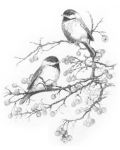 Set de pictură grafică Royal - Păsări, 23 x 30 cm - 1t