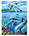Set de pictură cu vopsele acrilice Royal - Delfini, 22 x 30 cm - 1t