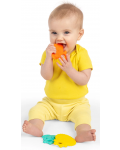 Set de jucării pentru dentiție pentru bebeluși Bright Starts - Multi-Pack, Animale, 3 buc - 5t