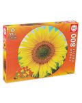 Puzzle rotund Educa din 800 de piese - Floarea Soarelui - 1t