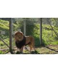 We Bought a Zoo (DVD) - 8t