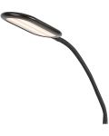 Lampion cu LED Rabalux - Adelmo 74009, IP20, 10 W, negru - 5t