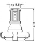 Bec auto LED Osram - PS19W, 5201DWP, LEDriving SL  - 4t