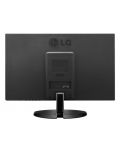 Monitor LG - 19M38A, 18.5", 5ms, negru - 5t