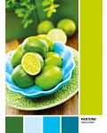 Puzzle Clementoni de 1000 piese - Lime Punch - 2t