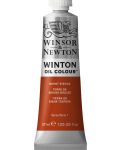 Winsor & Newton Winton - Burnt Sienna, 37 ml - 1t