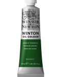 Winsor & Newton Winton Vopsea de ulei Winton - Oxide Chrome, 37 ml  - 1t